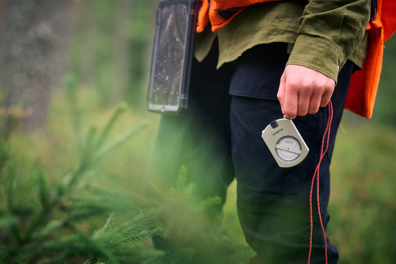 Stora Enso Skog-hero-background