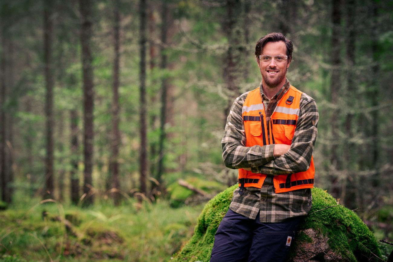 Stora Enso Skog-hero-background