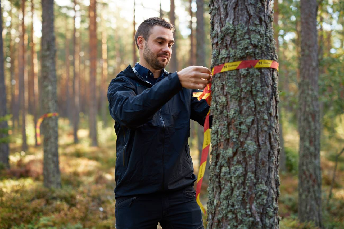 Moelven Skog-hero-background