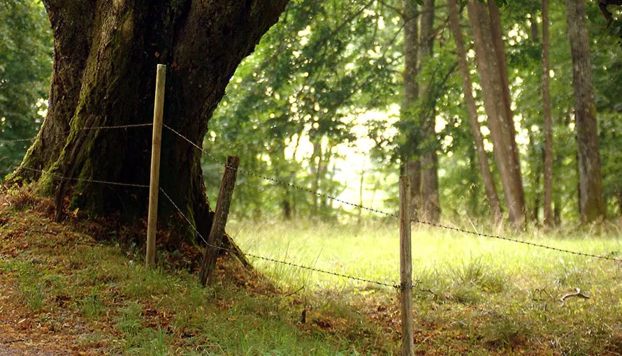 Borås stad-hero-background