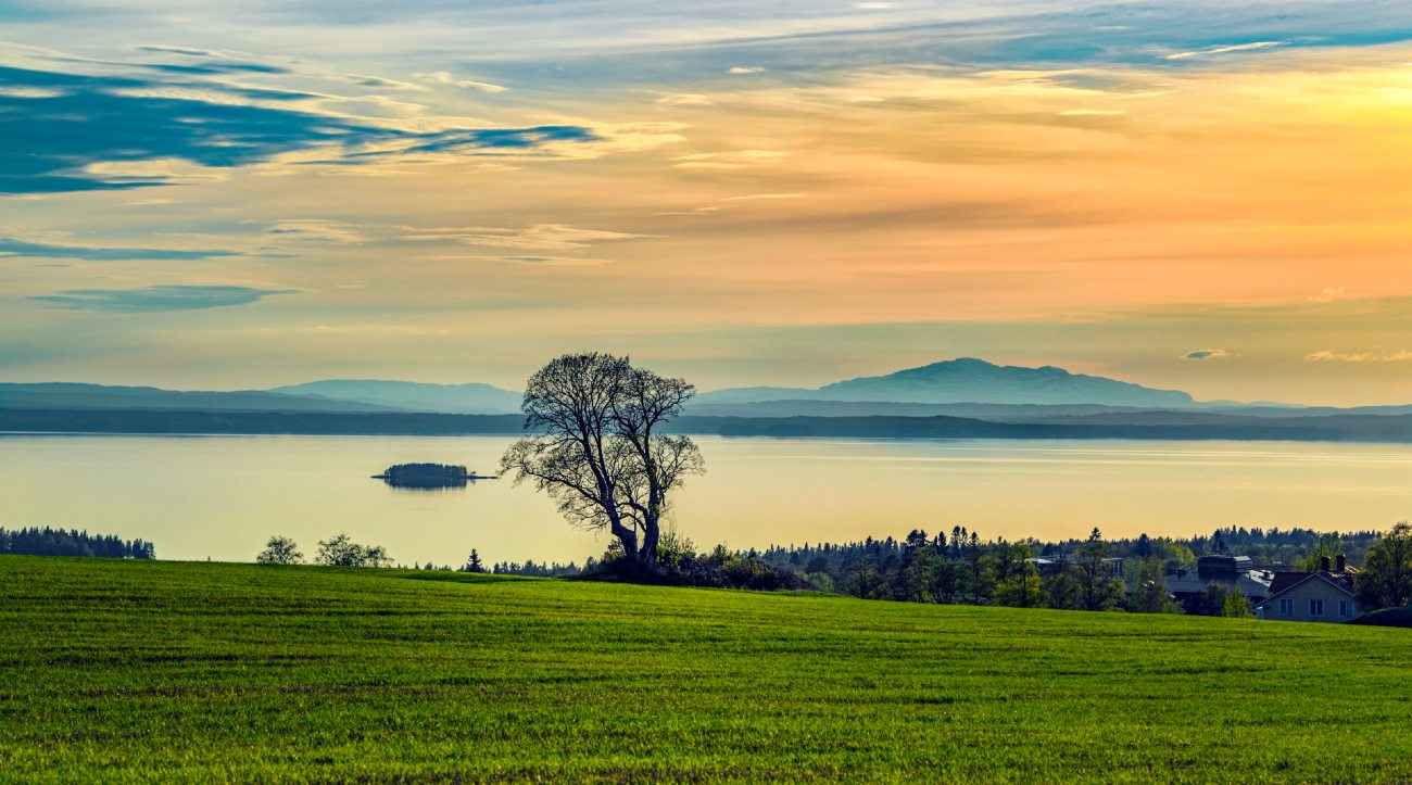 Länsstyrelsen i Jämtland-hero-background