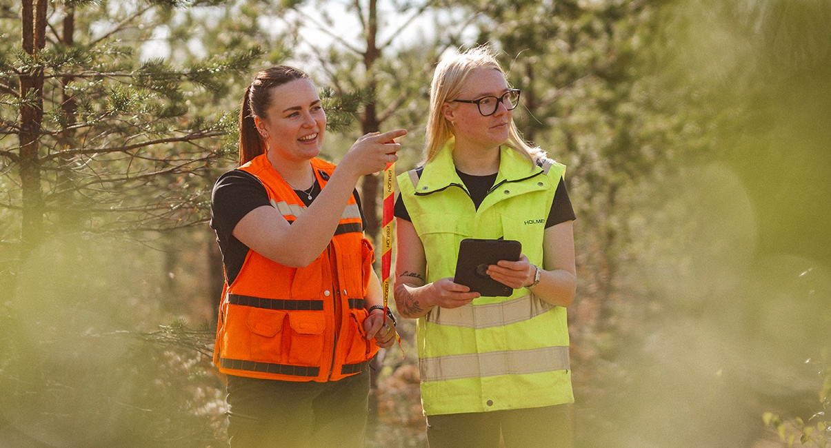 Holmen Skog-hero-background
