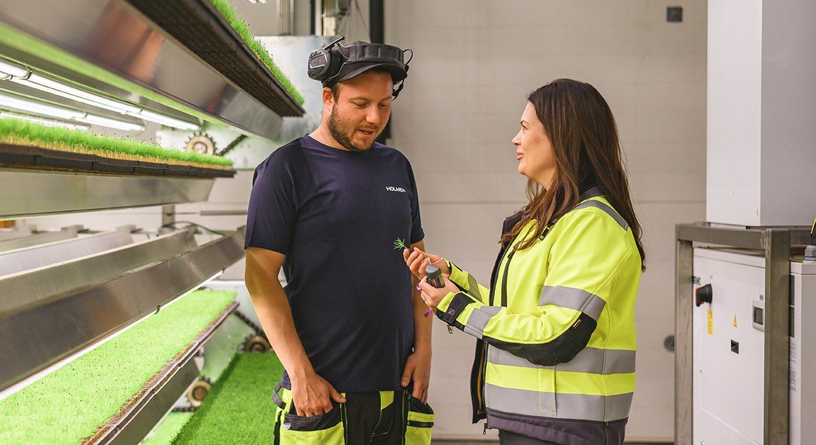 Holmen Skog-hero-background