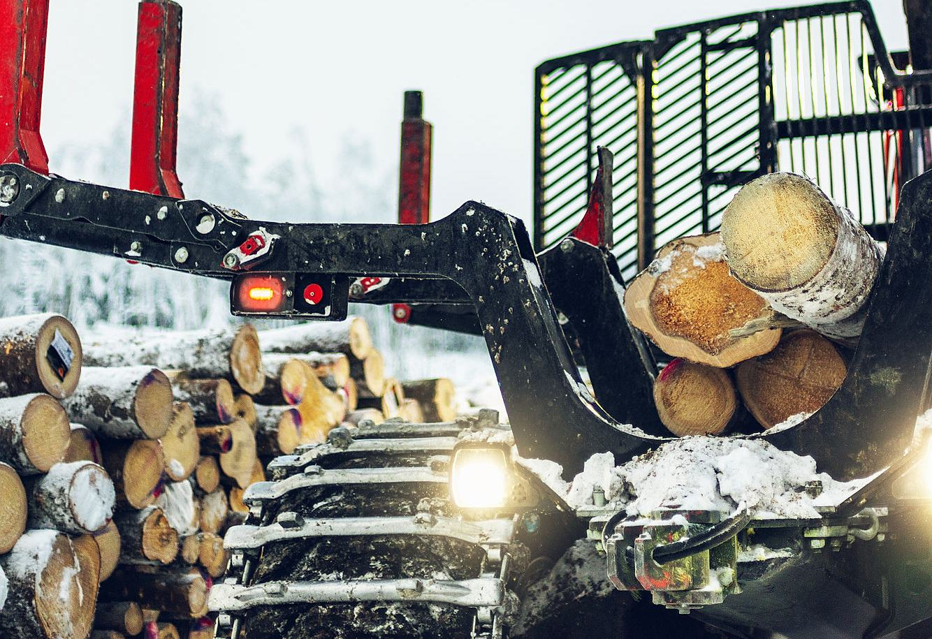 Stora Enso Skog-hero-background