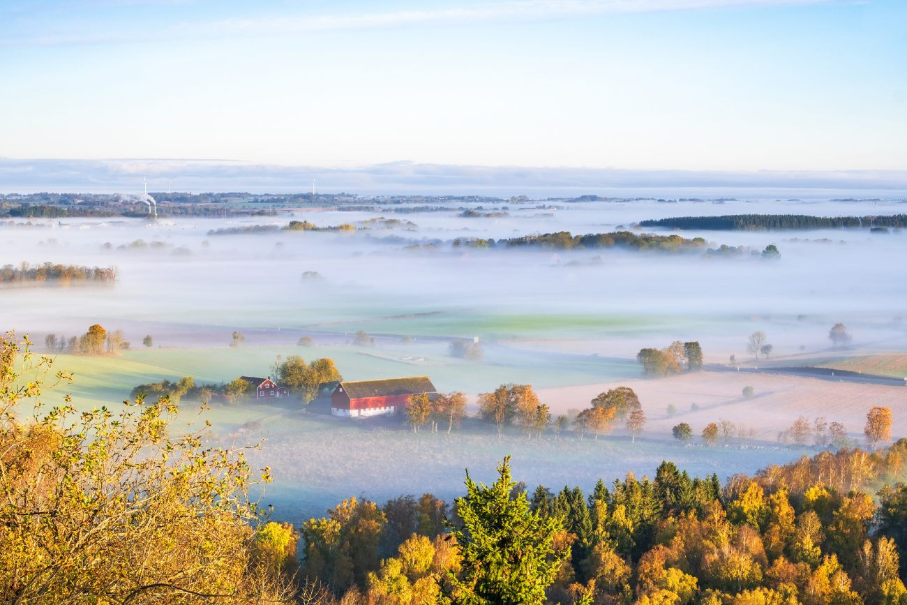 Ludvig & Co-hero-background