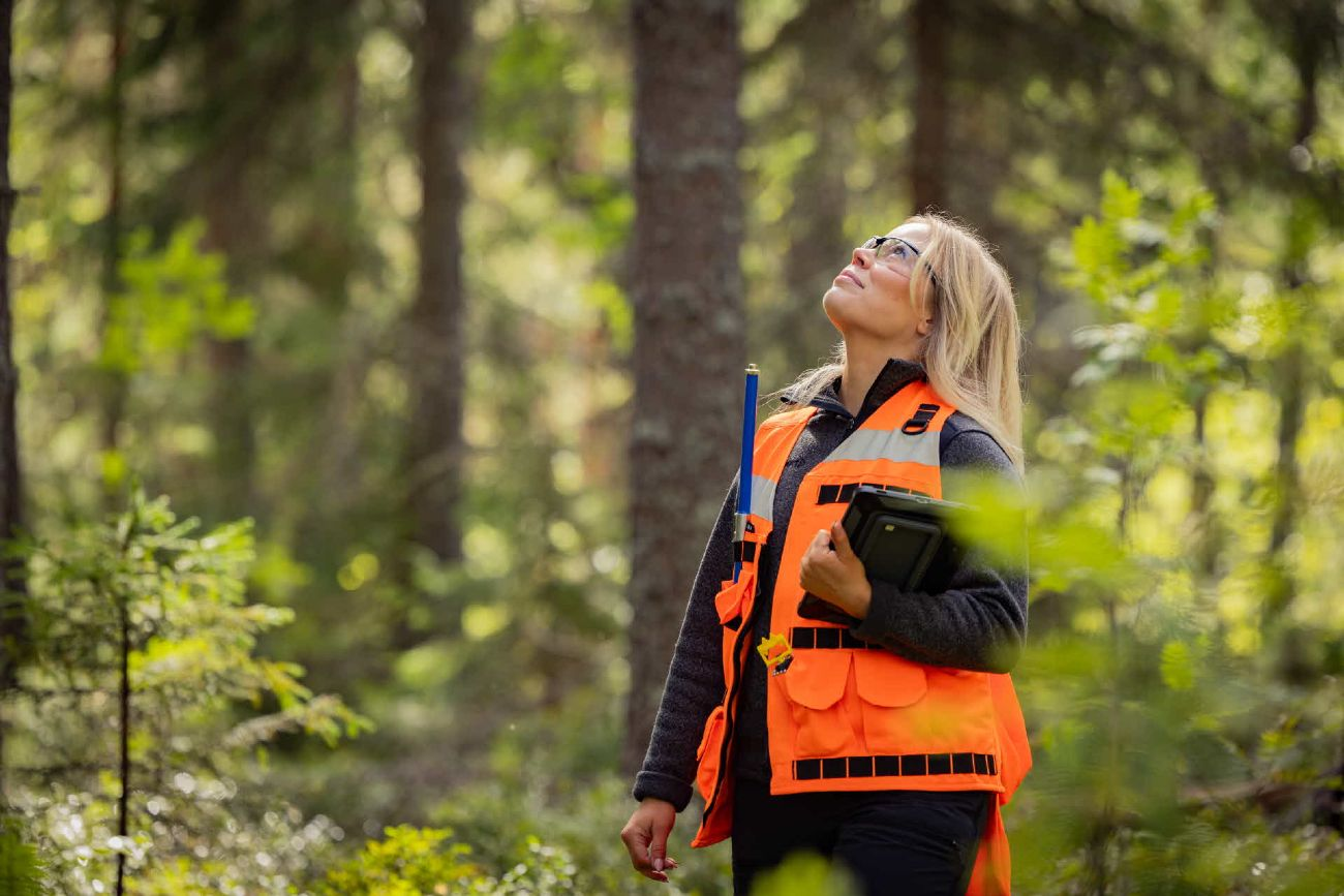 SCA Skog-hero-background