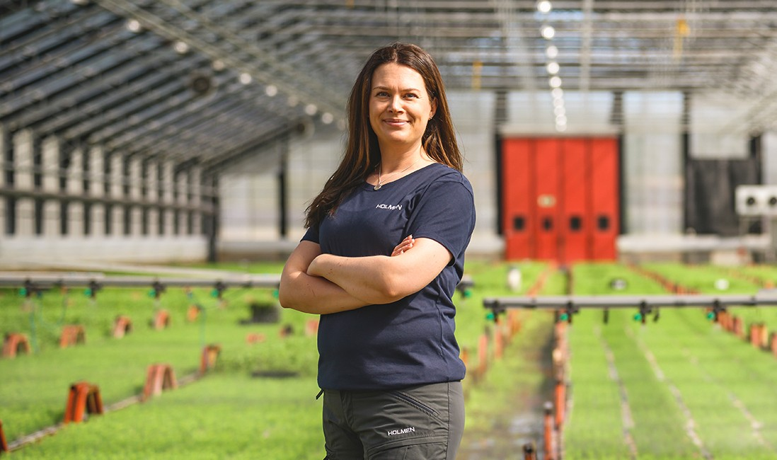 Holmen Skog-hero-background