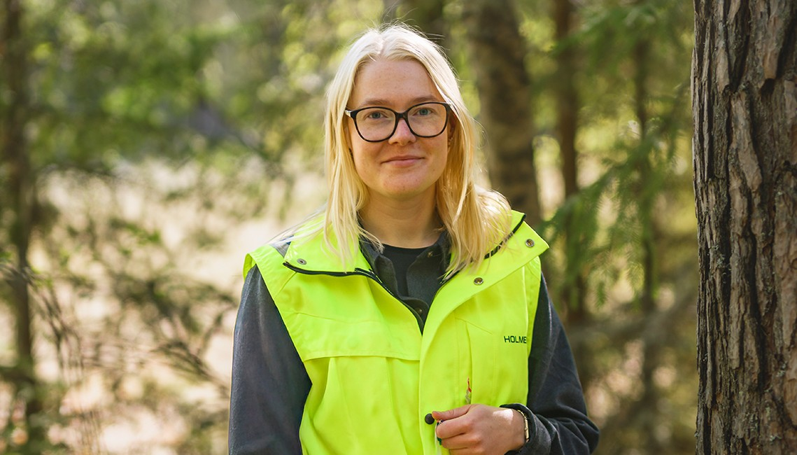 Holmen Skog-hero-background