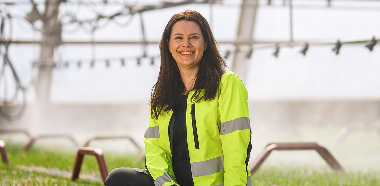 Holmen Skog-hero-background