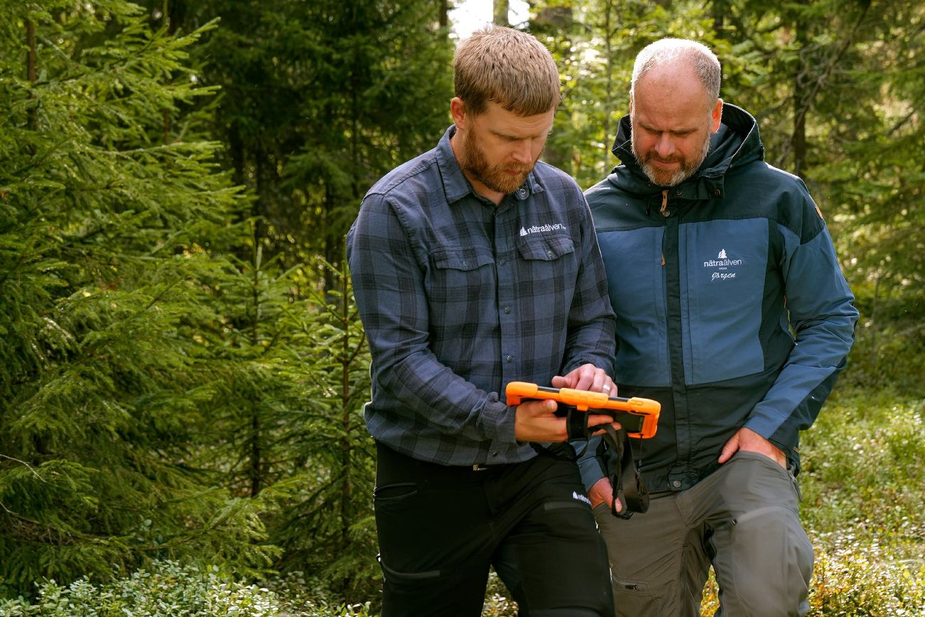 Nätraälven Skog-hero-background