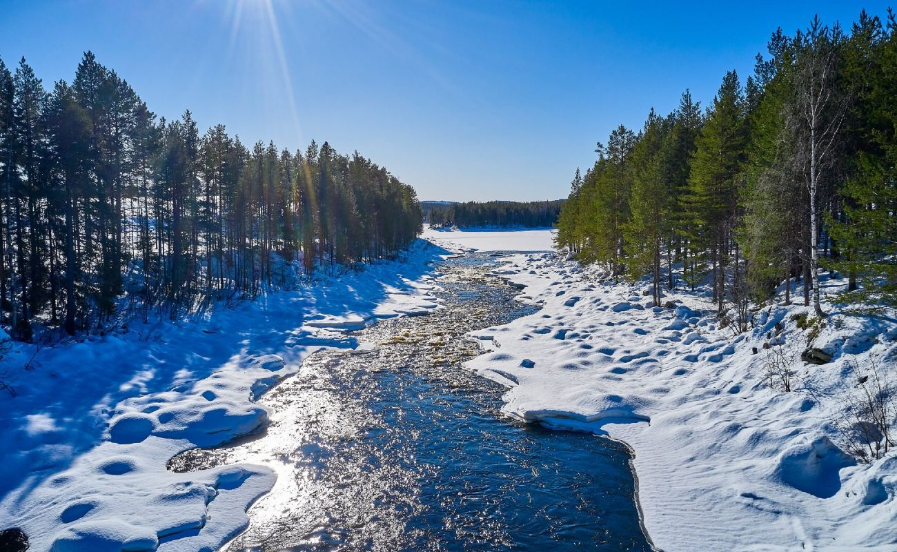 Stenvalls Trä AB-hero-background