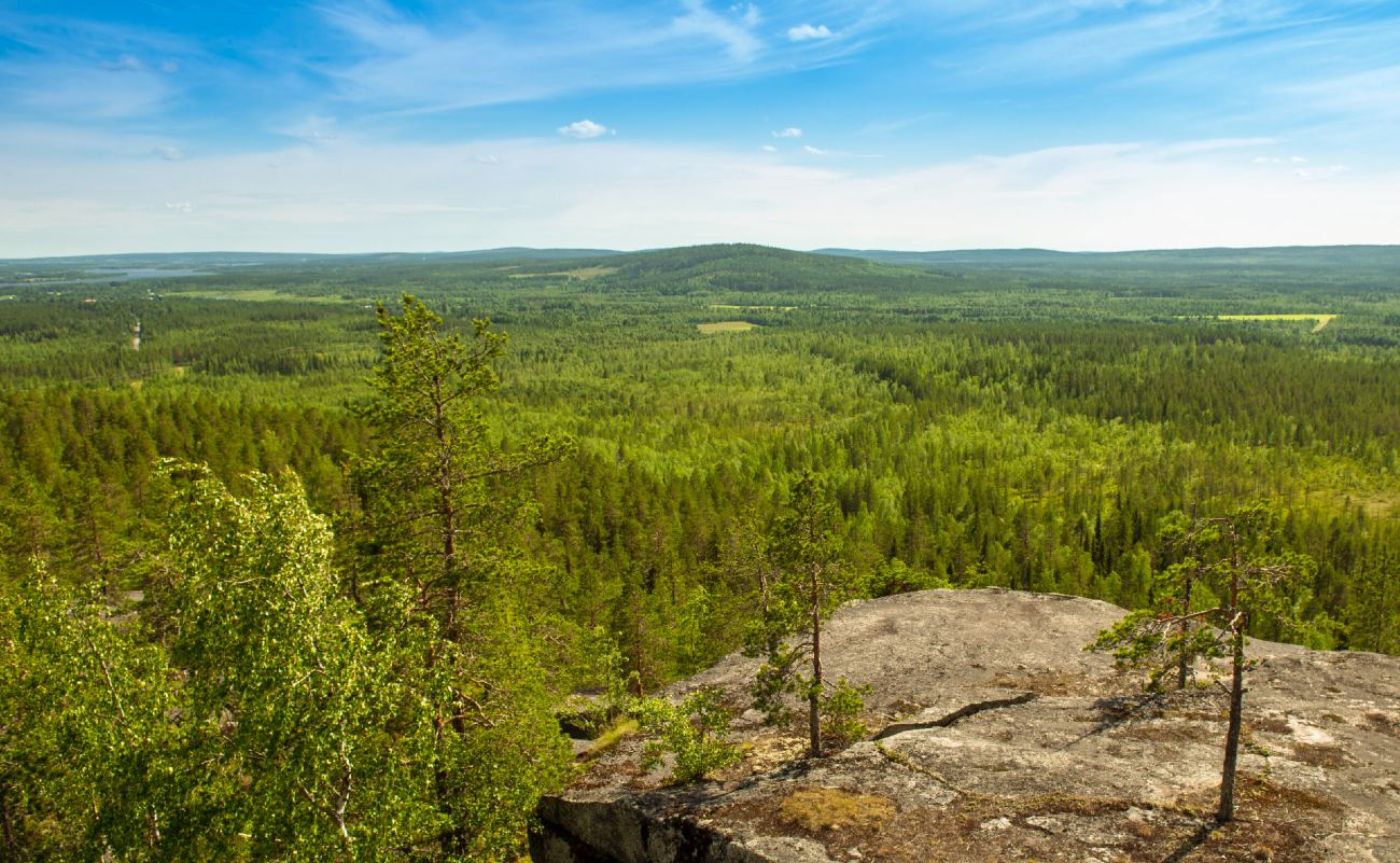 Stenvalls Trä-hero-background