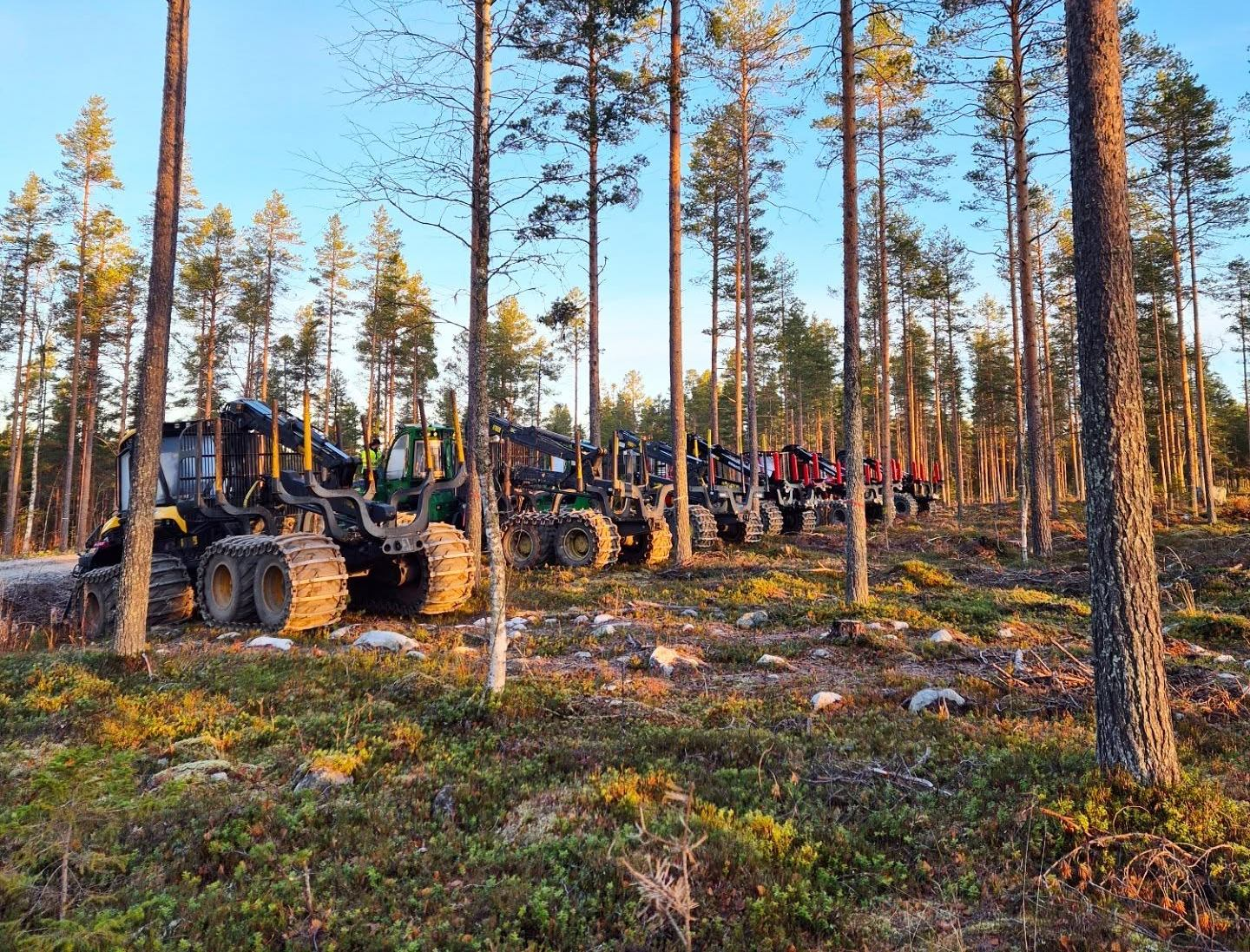 Kalix kommun-hero-background