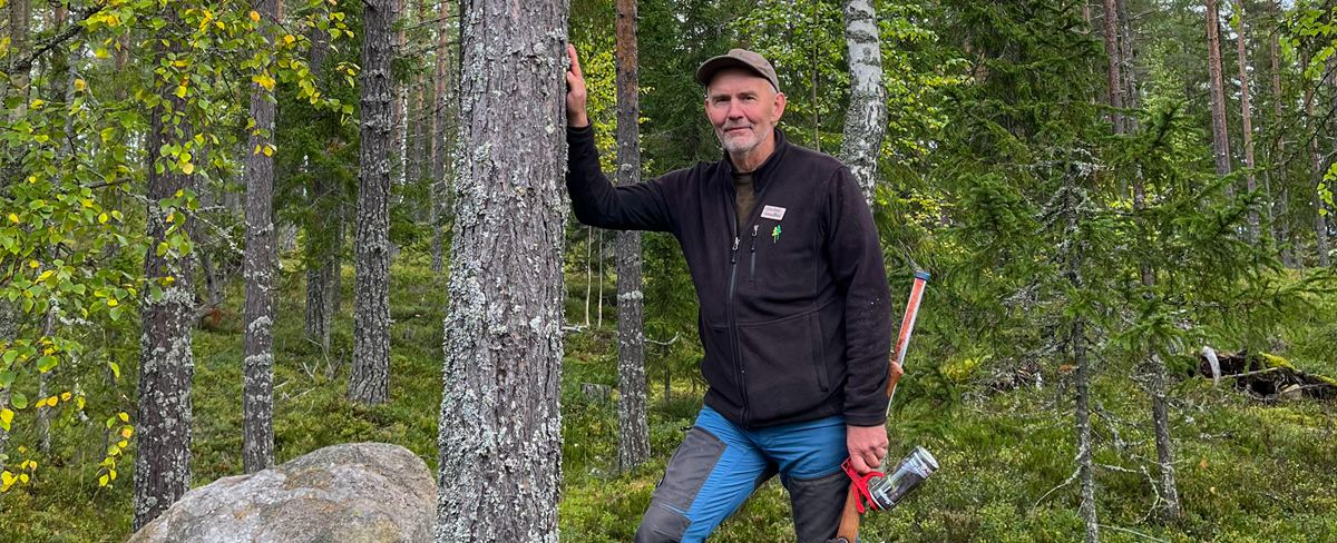 Rundvirke Skog-hero-background