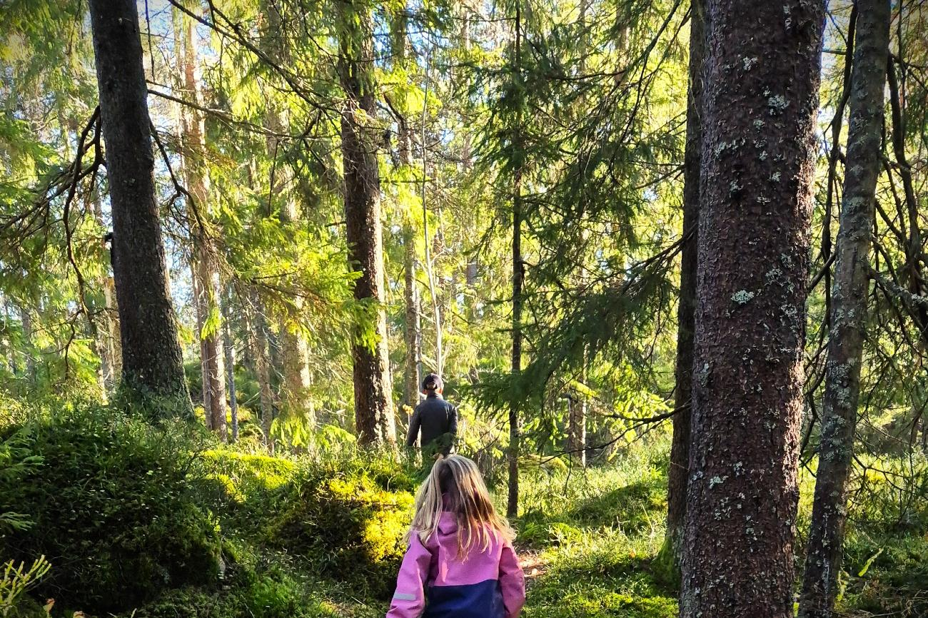 Örebro kommun-hero-background