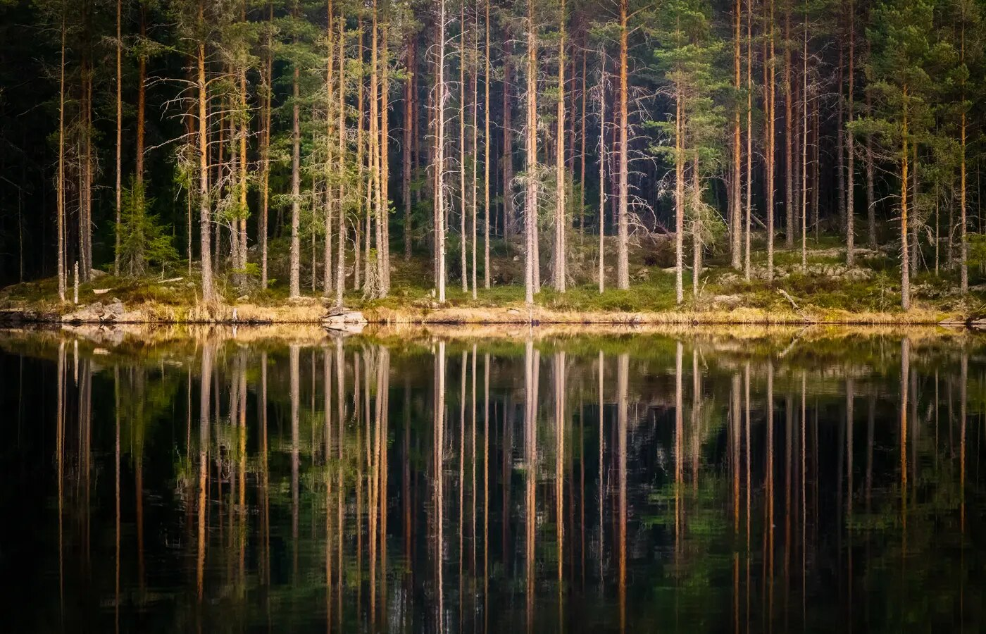Länsstyrelsen Värmland-hero-background