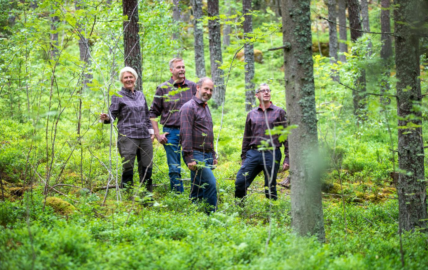 Häradskog-hero-background