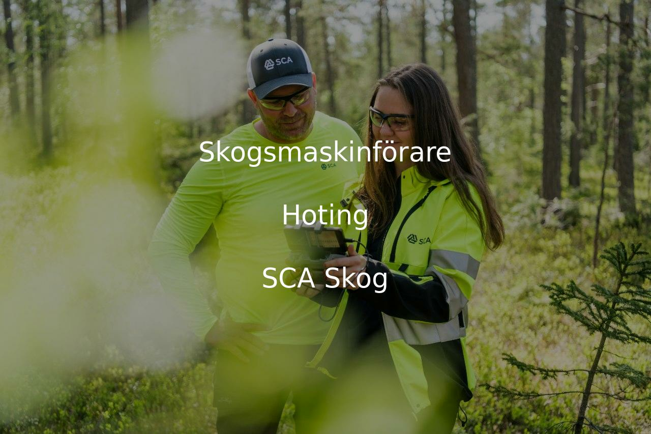 Hoting SCA Skog söker Skogsmaskinförare till Hoting