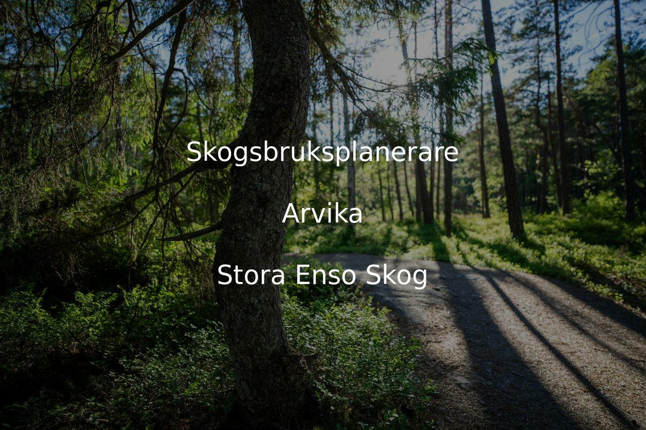 Skogsbruksplanerare Till V stra V rmland Stora Enso Skog Skogsbruksplanerare Till V stra V rmland Stora Enso Skog